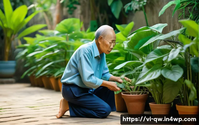 구전지식 기록법의 사례 기반 학습 관련 이미지 1